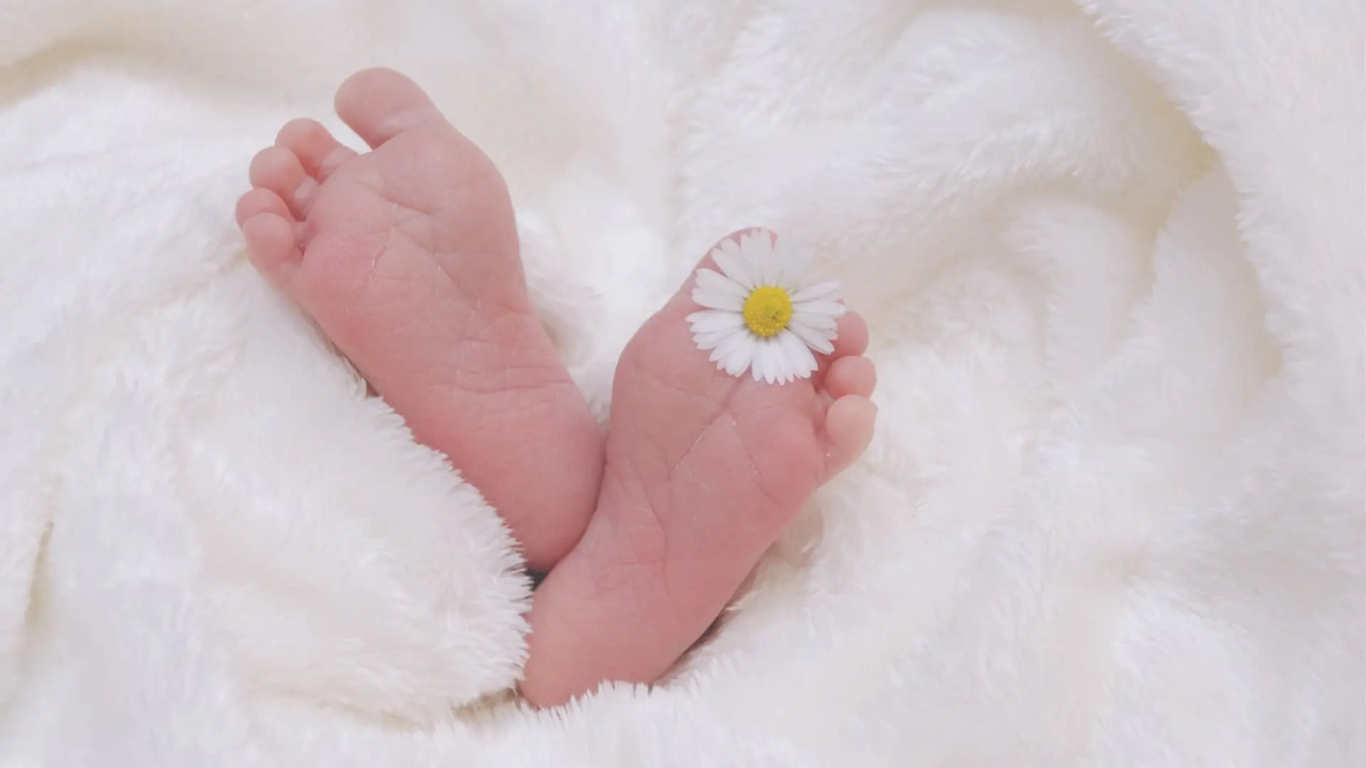 naissance en islam